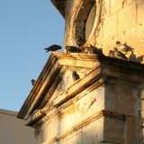 Sul timpano, frequentato unicamente da uno stormo di colombi, occhieggia una finestra circolare